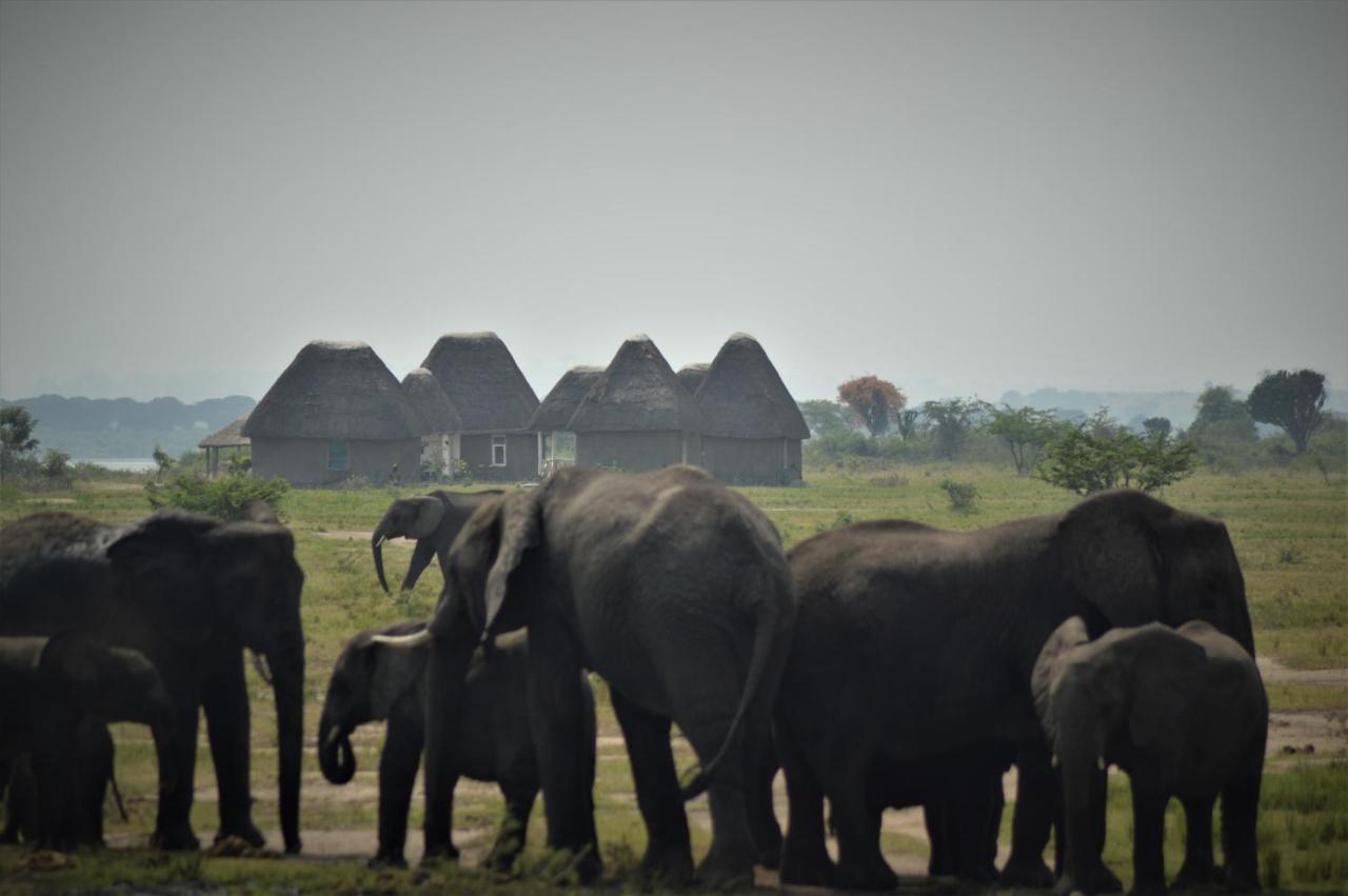 Kasenyi Lake Retreat Lodges & Campsite Kasese Extérieur photo